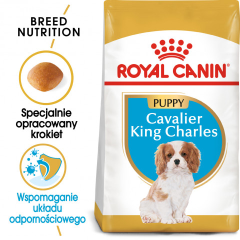 RC-BHN-PuppyCavalierKingCharles-MV-EretailKit-pl_PL.jpg