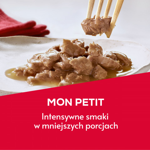 2023_10_19_Purina_Banner_Gourmet_MonPetit.jpg