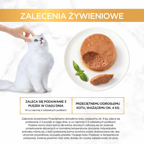 2023_08_10_Purina_eContent_Gourmet_Mus_zalecenia-zywieniowe.jpg