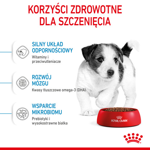 RC-SPT-DRY-MiniPuppy-CV-3-pl_PL.jpg