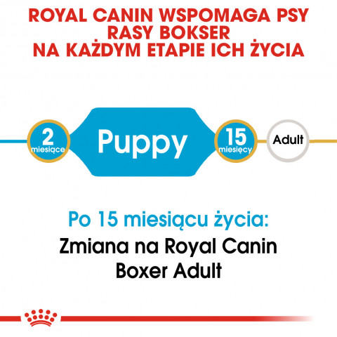 RC-BHN-PuppyBoxer-CM-EretailKit-1-pl_PL.jpg