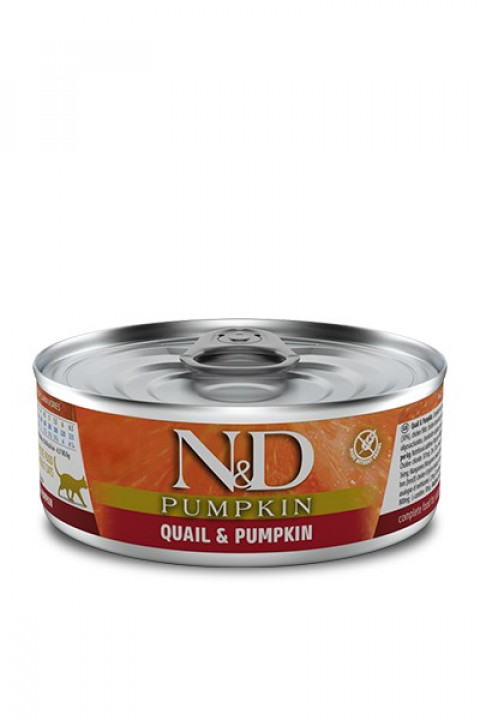 nd-pumpkin-feline-80g.jpg