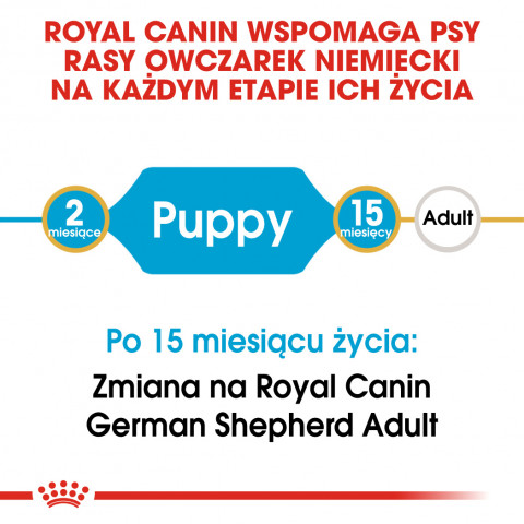 RC-BHN-PuppyGS-CM-EretailKit-1-pl_PL.jpg