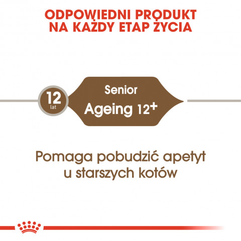 RC-FHN-Ageing12-CV-Eretailkit-1-pl_PL.jpg