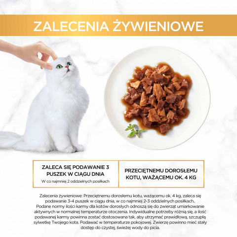 2023_08_08_Purina_eContent_Gourmet_Gold_Casserole_zalecenia-zywieniowe.jpg