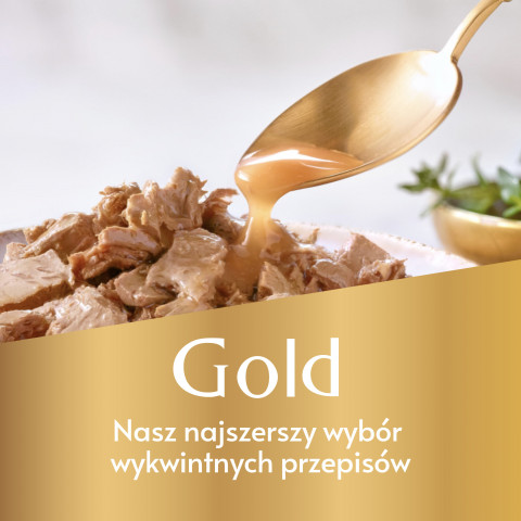 2023_10_19_Purina_Banner_Gourmet_Gold.jpg