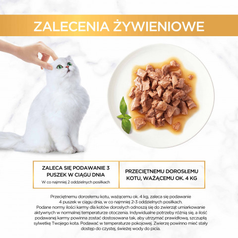 2023_08_09_Purina_eContent_Gourmet_Gold_Mix_kawalkow_zalecenia-zywieniowe.jpg