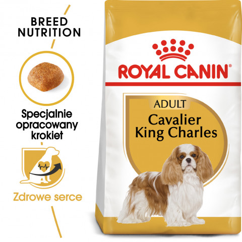 RC-BHN-CavalierKingCharles-MV-Eretailkit-pl_PL.jpg