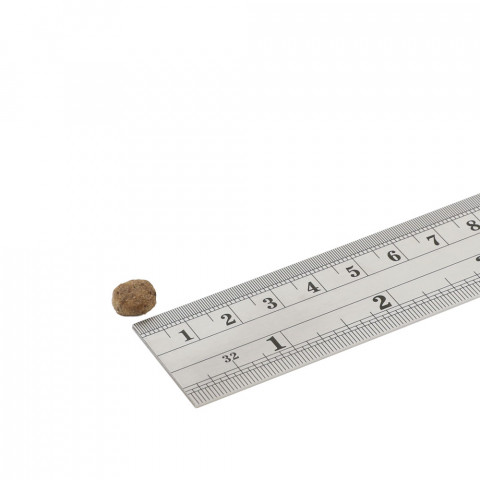 fish4dogs-ruler-superior-weight-small.jpg