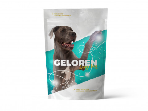 Geloren_Large_Dog_Mockup_Transparent.jpg