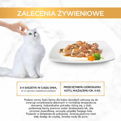 2023_10_19_Purina_eContent_Purina_Gourmet_A-LA-CARTE_Zalecenia.jpg