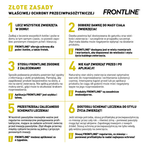 6. Złote zasady.jpg