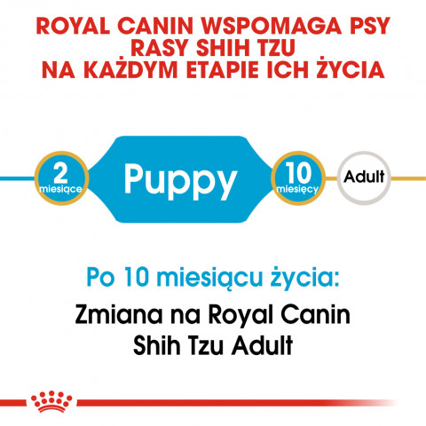 RC-BHN-PuppyShihTzu-CM-EretailKit-1-pl_PL.jpg