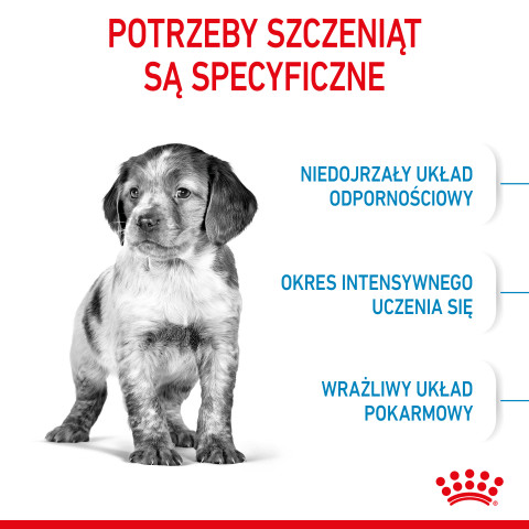 RC-SPT-DRY-MediumPuppy-CV-2-pl_PL.jpg