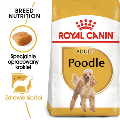 RC-BHN-Poodle-MV-Eretailkit-pl_PL.jpg