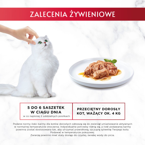 2022-04-12_Gourmet_Mon_Petit_Zalecenia_kurczak.jpg