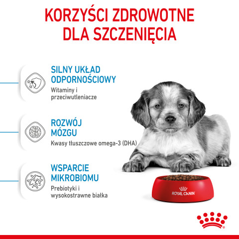 RC-SPT-DRY-MediumPuppy-CV-3-pl_PL.jpg