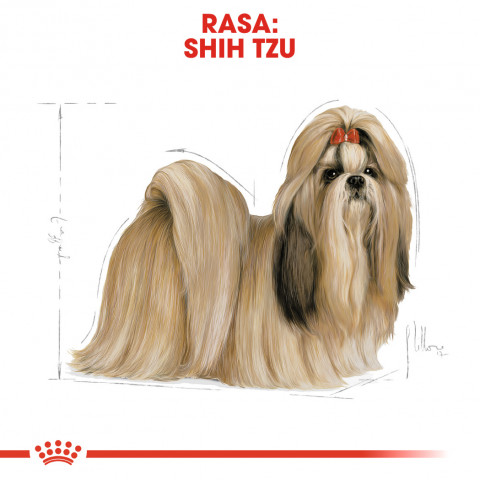 RC-BHN-ShihTzu-CV-Eretailkit-1-pl_PL.jpg