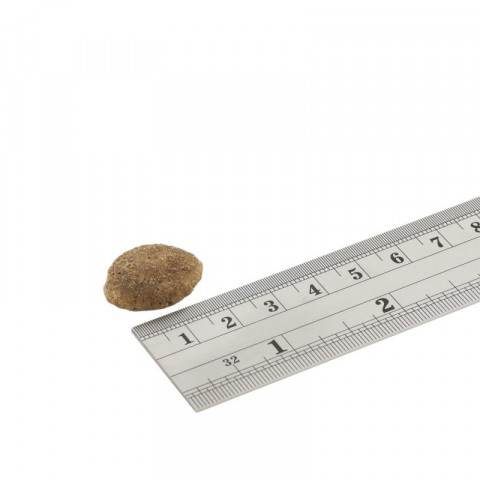 fish4dogs-ruler-superior-weight-reg-800x800.jpg