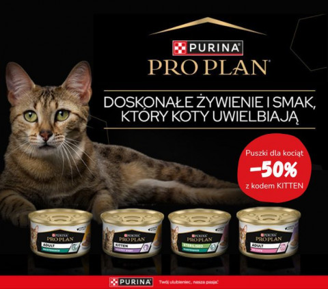 Kod rabatowy - zestawy karmy dla kociąt Purina z 50% zniżki!