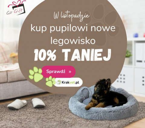 Legowiska Go Gift 10% taniej w listopadzie!