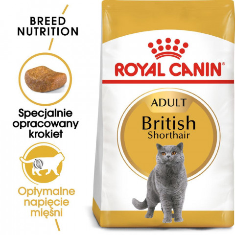 ROYAL CANIN FBN British Shorthair Adult - sucha karma dla dorosłego kota - 10kg