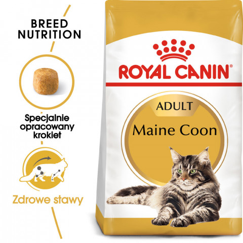 Royal Canin FBN Maine Coon Adult - sucha karma dla kota dorosłego - 10kg