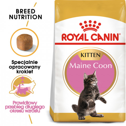 Royal Canin FBN Maine Coon Kitten - sucha karma dla kociąt - 4kg