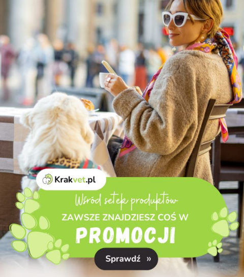 Promocja