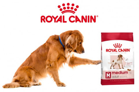 Karma dla psa Royal Canin - Top 10