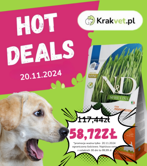 Hot Deals