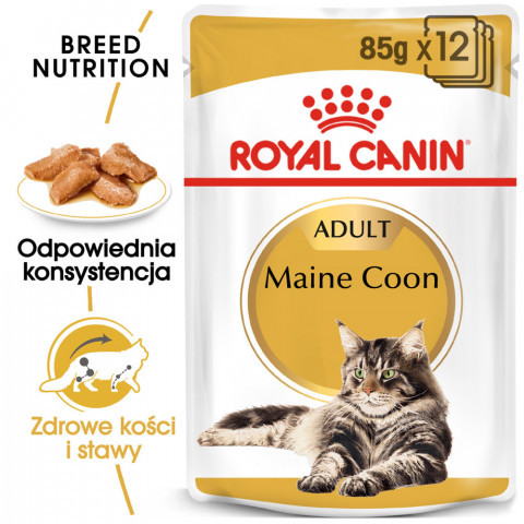 Royal Canin FBN Maine Coon - mokra karma dla kota - 12x85 g