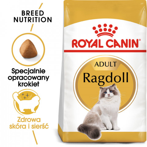 ROYAL CANIN FBN Ragdoll Adult - sucha karma dla dorosłego kota - 2kg