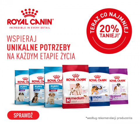 Sucha karma Royal Canin SHN w atrakcyjnych cenach!