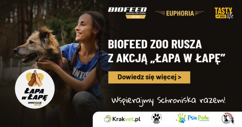 Psyjaciele z BIOFEED Zoo wspierają zwierzaki w schroniskach, a KrakVet idzie z nimi łapa w łapę! 