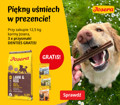 Pyszny gratis Josera na piękny psi uśmiech!