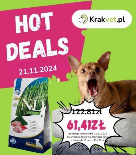 Hot Deals