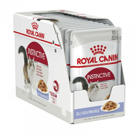 ROYAL CANIN FHN Instinctive w galaretce - mokra karma dla kota dorosłego - 12x85 g