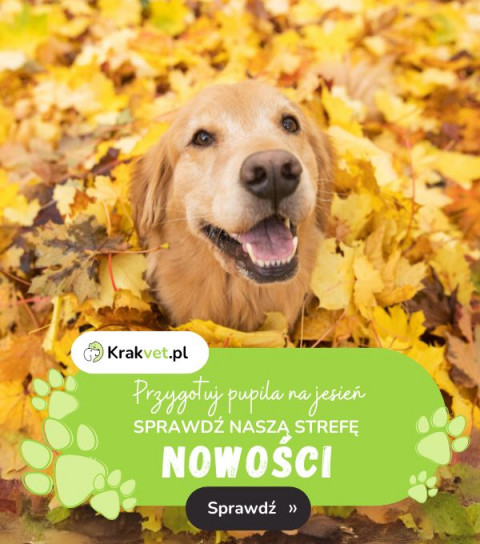 Jesienne nowości w KrakVet!