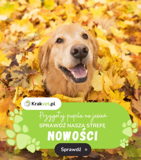 Nowość