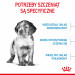 RC-SPT-DRY-MediumPuppy-CV-2-pl_PL.jpg