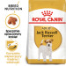 RC-BHN-JackRussell-MV-Eretailkit-pl_PL.jpg