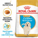 RC-BHN-PuppyGoldenRetriever-MV-EretailKit-pl_PL.jpg