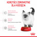 RC-SPT-DRY-Kitten-CV-3-pl_PL.jpg