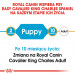 RC-BHN-PuppyCavalierKingCharles-CM-EretailKit-1-pl_PL.jpg