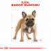 RC-BHN-FrenchBulldog-CV-Eretailkit-1-pl_PL.jpg