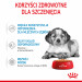 RC-SPT-WET-MediumPuppy-CV-3-pl_PL.jpg