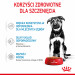 RC-SPT-WET-MaxiPuppy-CV-3-pl_PL.jpg