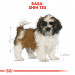 RC-BHN-PuppyShihTzu-CM-EretailKit-4-pl_PL.jpg