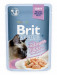 Brit-Premium-Pouch-Sterilised-Salmon-in-gravy-85g.jpg
